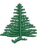 Realistic tree with lush green foliage and symmetrical branches, perfect for nature-themed projects.