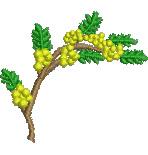 quick stitch wattle machine embroidery pattern - Wattle perfect for kitchen aprons