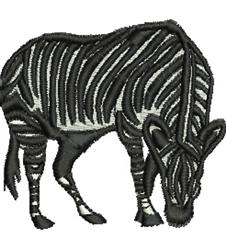 Textured zebra standing with detailed black and white stripes, perfect for wildlife decor.