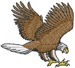 Eagle