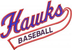 baseball detailed machine embroidery - Hawks Baseball perfect for reusable tote bags