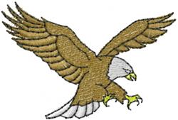 Hunting Eagle