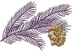 Pine Branch