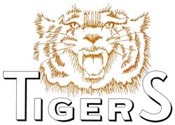 Sketched tiger face with intense expression and bold 'Tigers' lettering in orange and black.