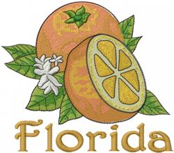 detailed orange machine embroidery pattern - Florida Oranges perfect for Aprons