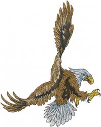 Flying Eagle - bird detailed machine embroidery design for decorative pillow covers