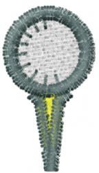 Golf tee with a light neutral circular top, dark gray vertical stem, and bright yellow accent, ideal for functional designs.