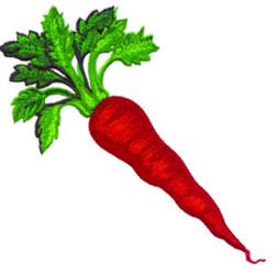 Carrot