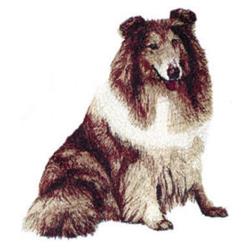 Collie