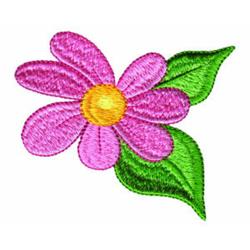 Daisy
