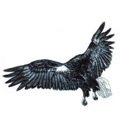 Eagle in Flight
