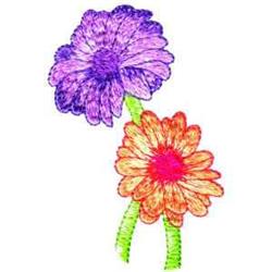 Gerber Daisies