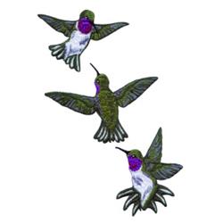 Hummingbirds