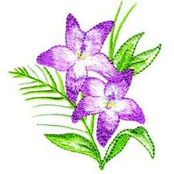Lilies