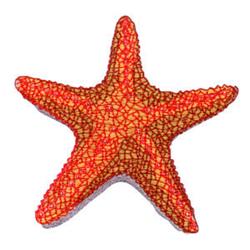 Starfish
