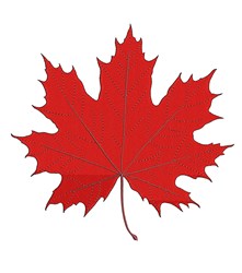 tree detailed machine digital embroidery - Maple Leaf perfect for reusable tote bags