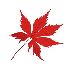 Red maple leaf with serrated edges in a bold illustration, perfect for fall projects.