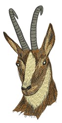 Springbok Logo Embroidery