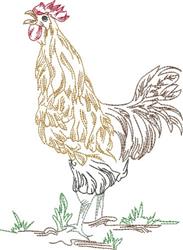 bird beginner-friendly machine embroidery - Crowing Rooster perfect for kitchen aprons