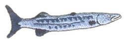 baracuda quick stitch machine embroidery - Baracuda perfect for Nautical Decor