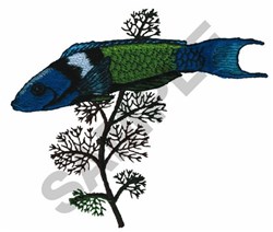 BLUEHEAD