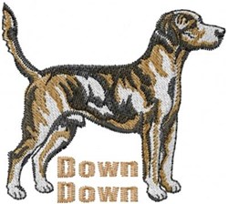 Brindle dog standing alert with a raised tail, showcasing rich brown and cream shades, with 'Down' text below.