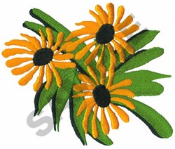 DAISIES