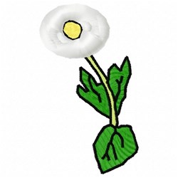 Colorful daisy bloom with white petals and yellow center, surrounded by vibrant green leaves in a playful cartoon style.