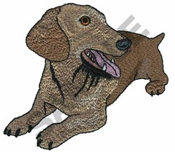 DEERHOUND