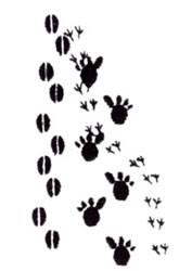 quick stitch bear machine embroidery pattern - Footprints for kitchen tea towels