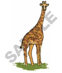 GIRAFFE