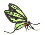 beginner-friendly butterfly machine embroidery pattern - Moth Profile for Table Linens