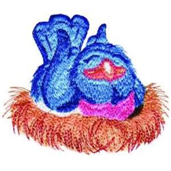 Nesting Bluebird