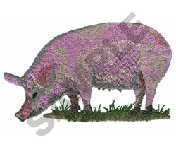 PIG