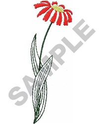 RED DAISY