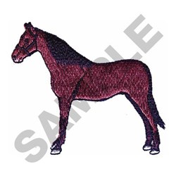 SADDLE BRED