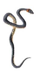Snake - 4x4 snake quick stitch machine embroidery design for decorative pillow covers