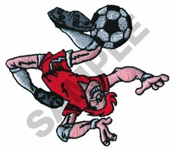 SOCCER PLAYER