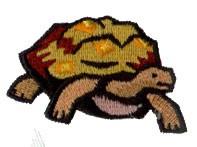 Tortoise - 4x4 tortoise beginner-friendly embroidery design for decorative pillow covers
