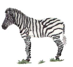 zebra beginner-friendly machine digital embroidery - Zebra perfect for Lunch Boxes