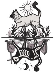 Cat Reflection