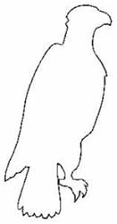 quick stitch bird machine embroidery pattern - Eagle Outline for reusable tote bags