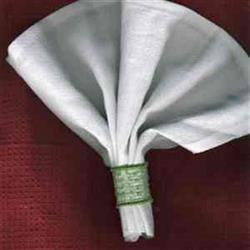 ring beginner-friendly machine embroidery - FSL Napkin Ring for Dinner Parties