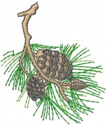 Pinecone