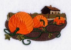 Pumpkin Patch