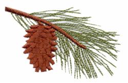 tree beginner-friendly machine embroidery - Alberta - Lodgepole Pine for kitchen tea towels