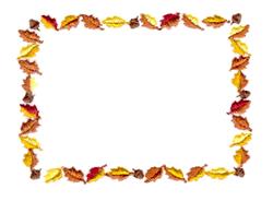 leaf beginner-friendly machine embroidery - Autumn Leaf Border for Quilt Borders