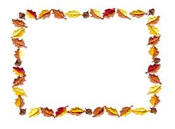 Autumn Leaf Border - 6x10 leaf detailed embroidery design for kitchen tea towels
