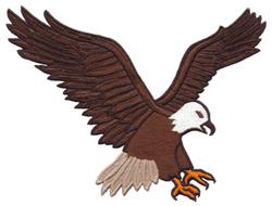 Bald eagle soaring with wings extended, showcasing detailed brown and white plumage; emphasized claws.