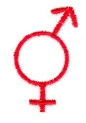 Bisexual Symbol - 4x4 symbol quick stitch embroidery design for reusable tote bags